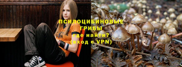 кокс Арсеньев